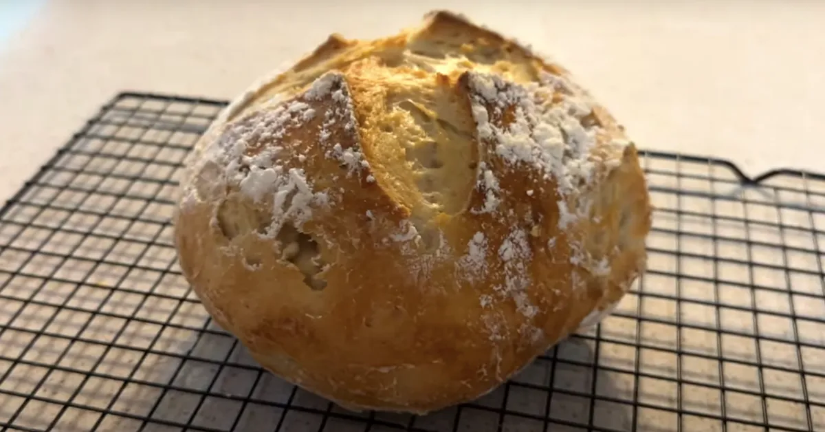 Gluten-free sourdough bread